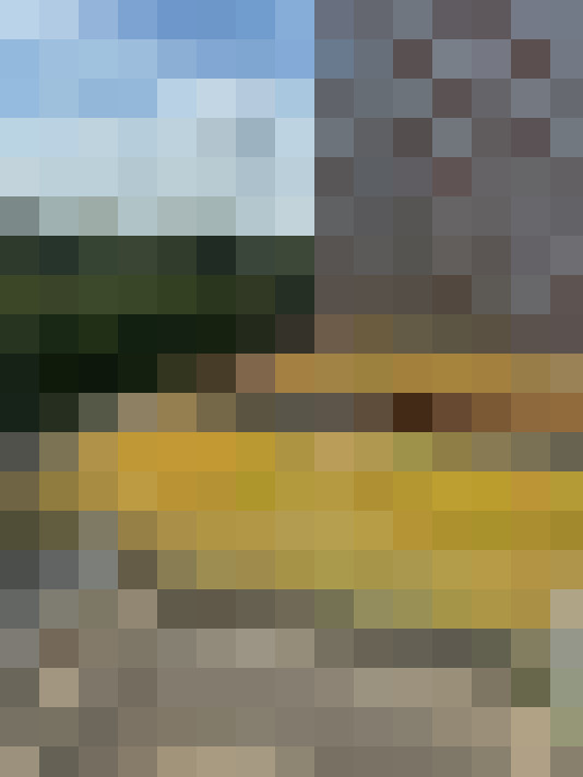 Image 16