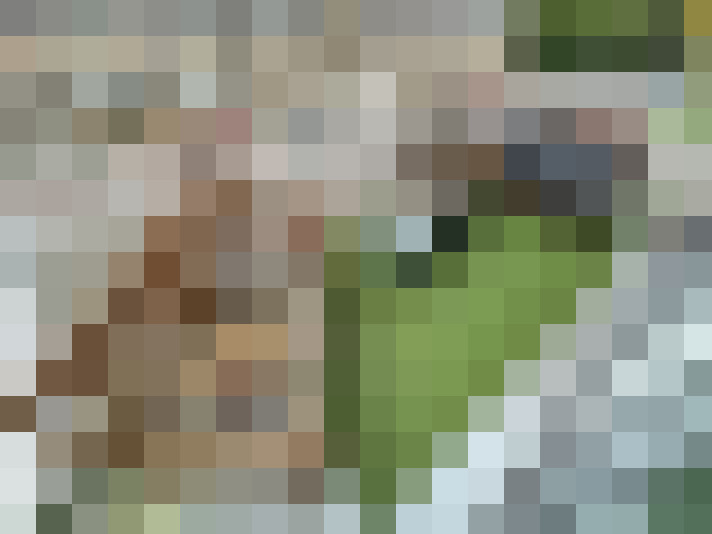 Image 17