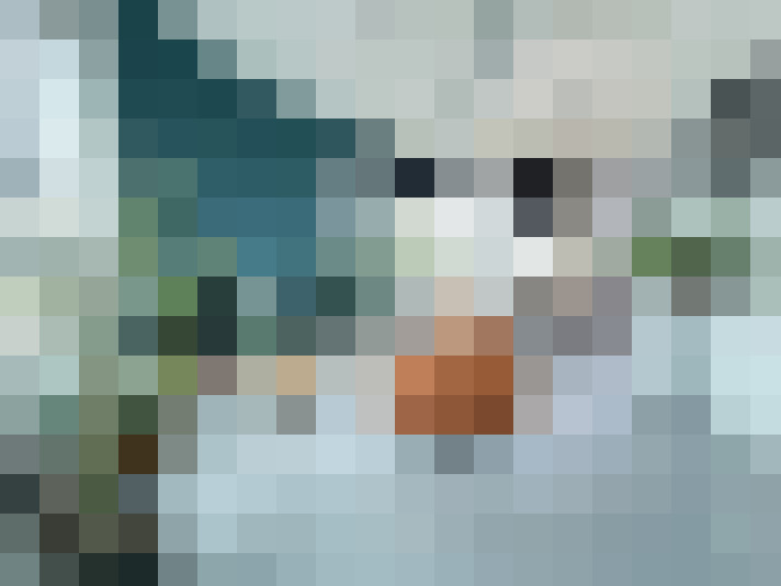 Image 21