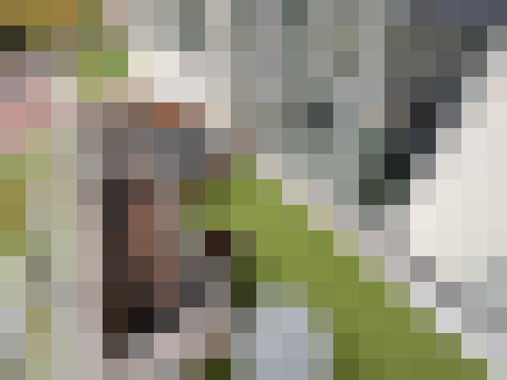 Image 18