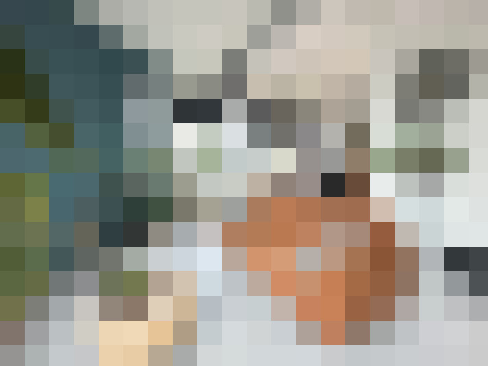 Image 20