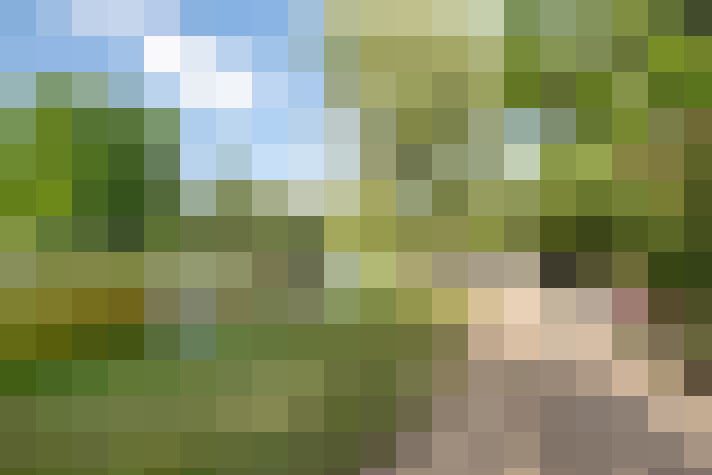 Image 26