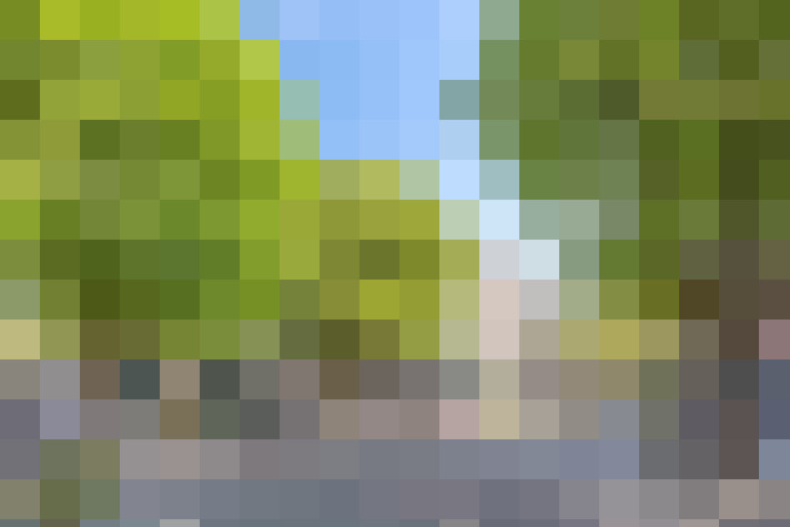Image 25