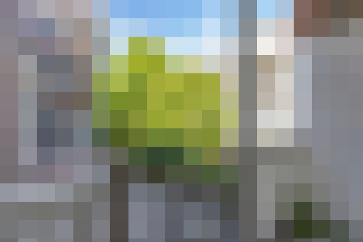 Image 17