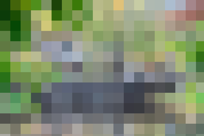 Image 38