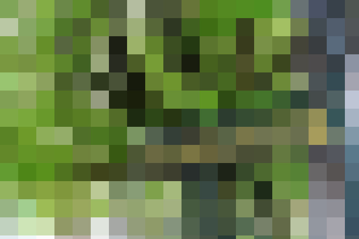 Image 37