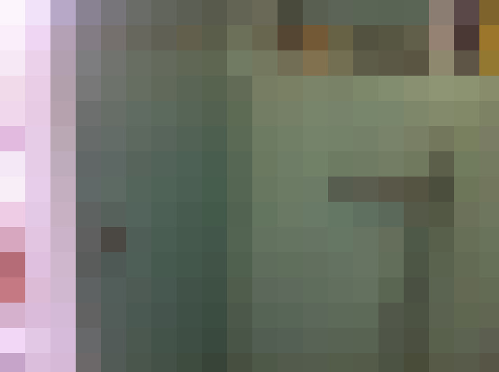 Image 27