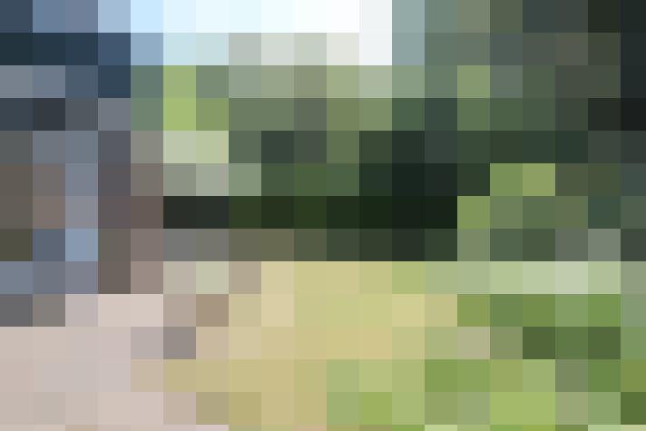 Image 18