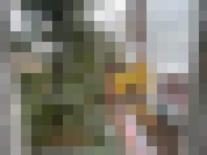 Image 30