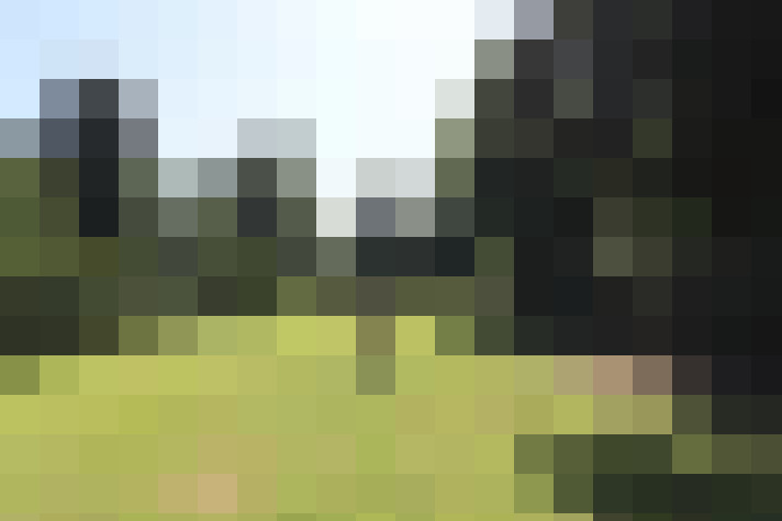 Image 23