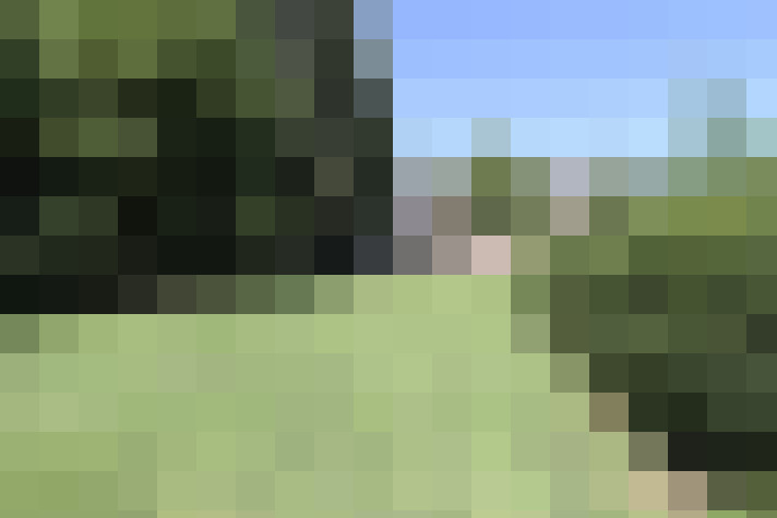 Image 25