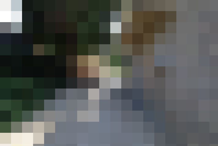 Image 29