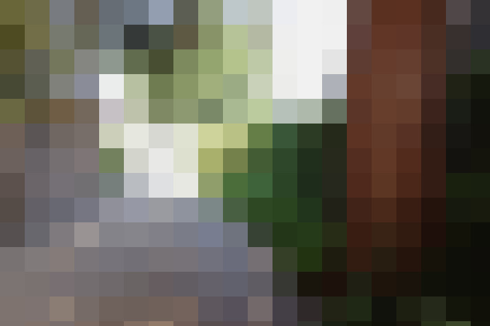 Image 30