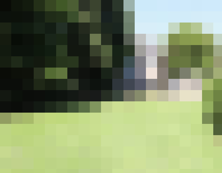 Image 26