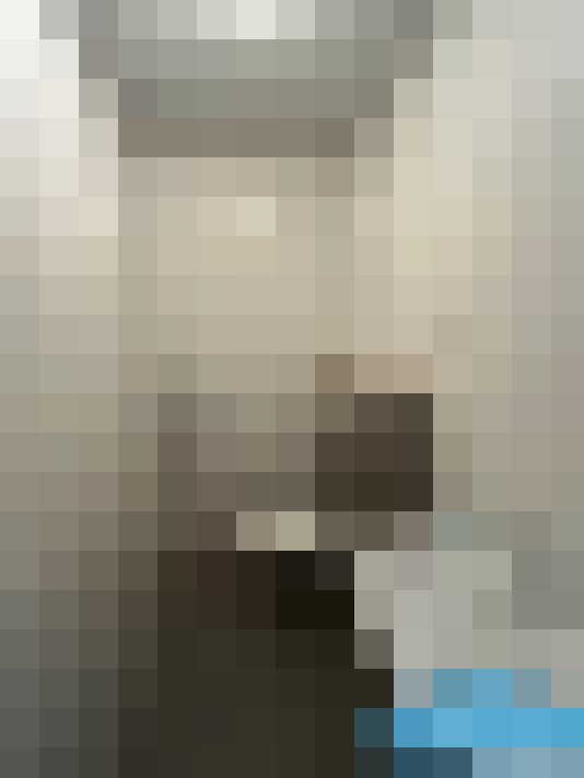 Image 22