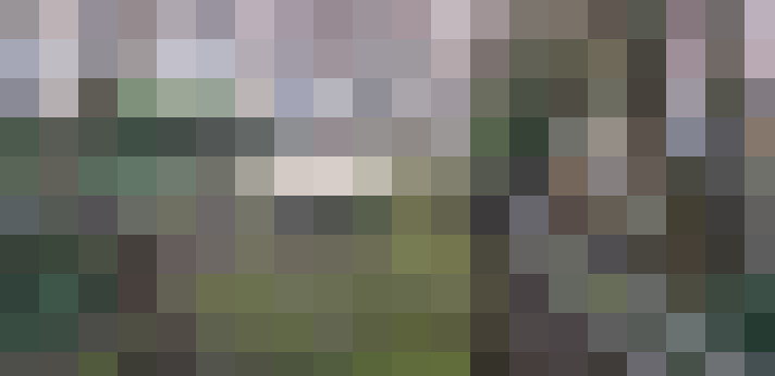 Image 38