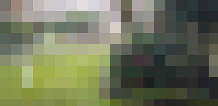 Image 37