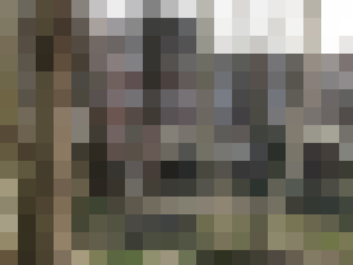 Image 42