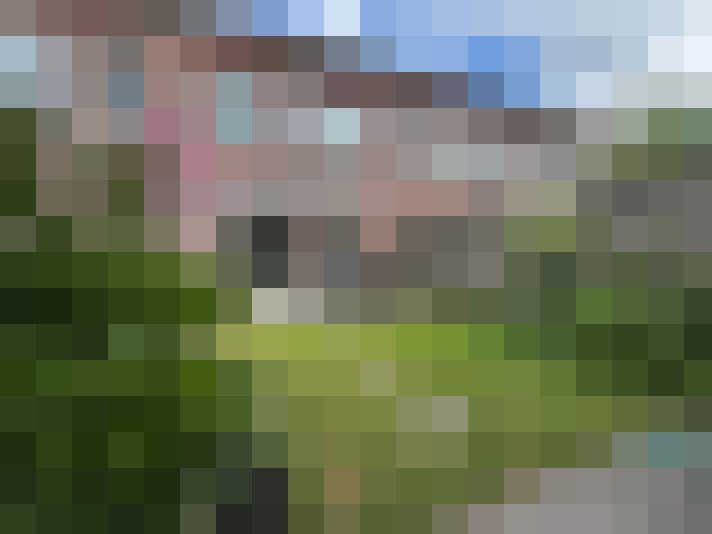 Image 20
