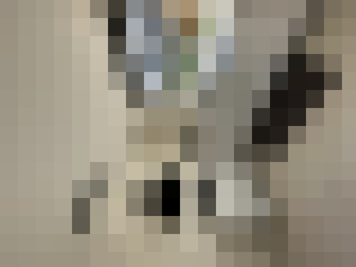 Image 13
