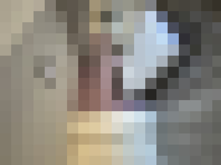Image 29