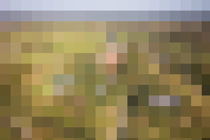 Image 31