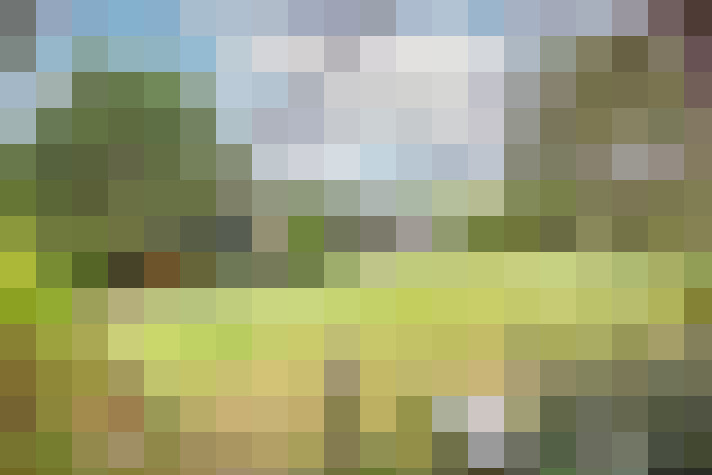 Image 25