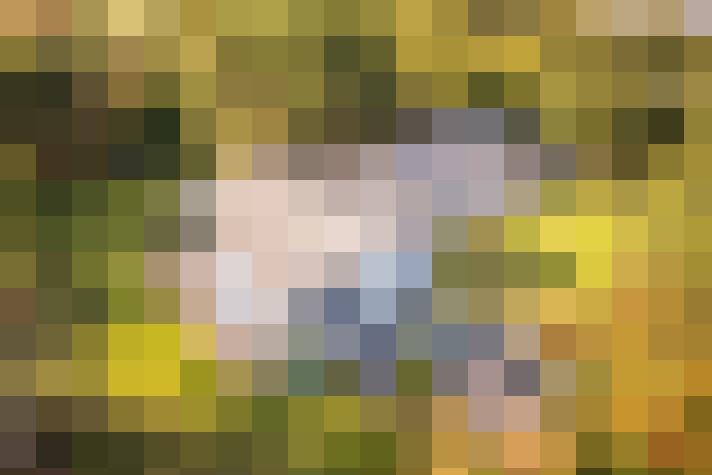Image 23