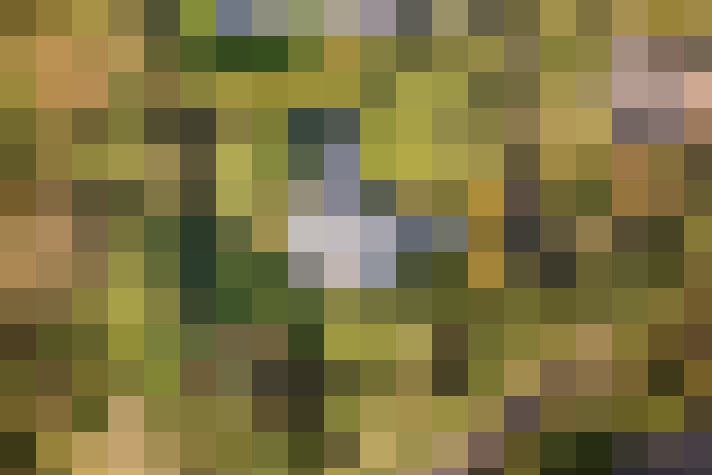 Image 32