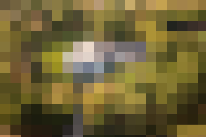 Image 30