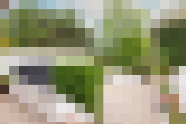 Image 29