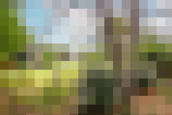 Image 26