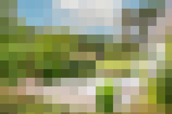 Image 28