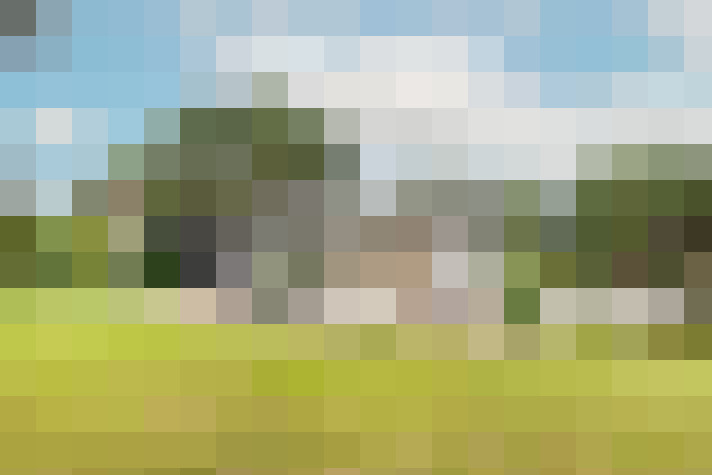 Image 24