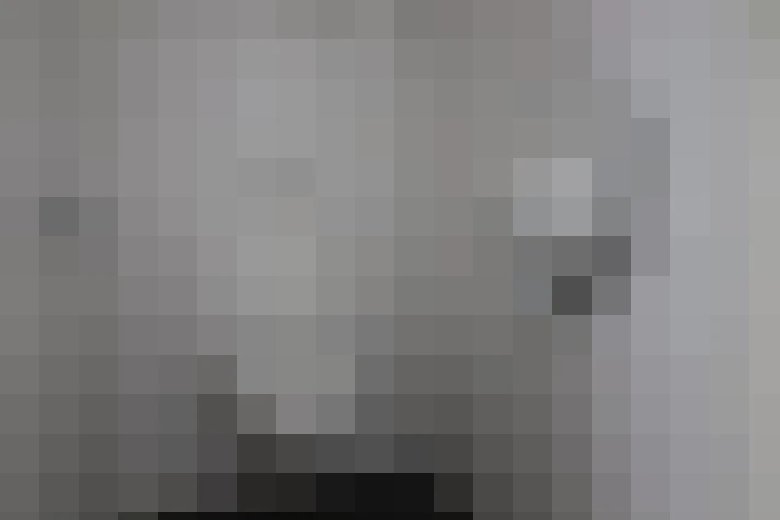 Image 23