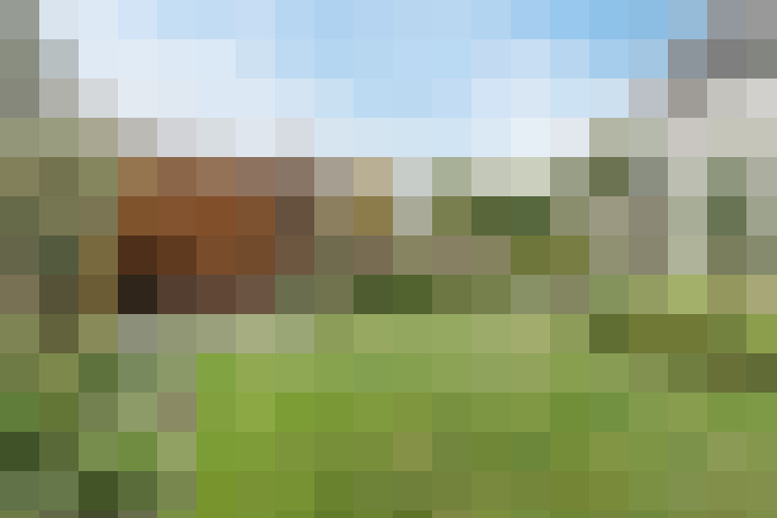 Image 30