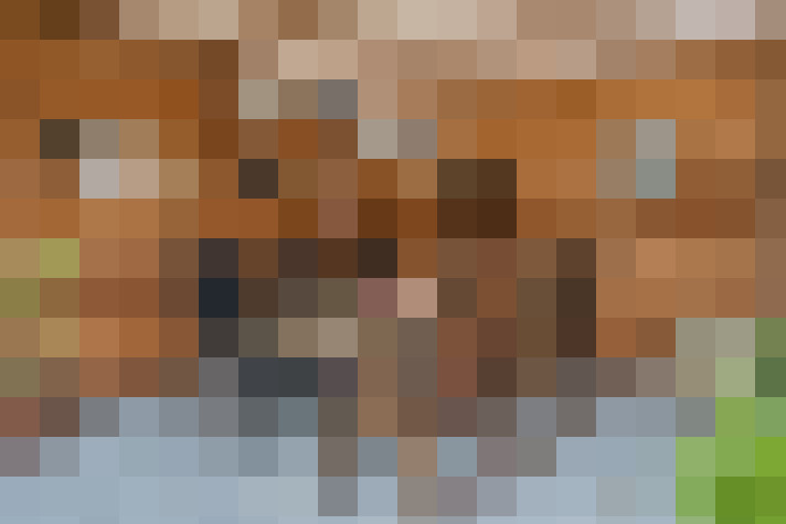 Image 31