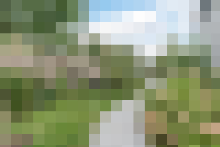 Image 34