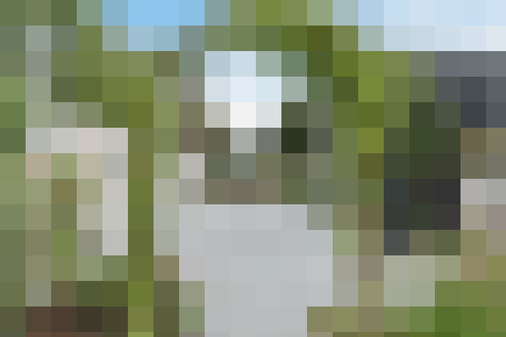 Image 35