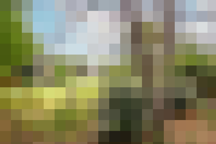 Image 26