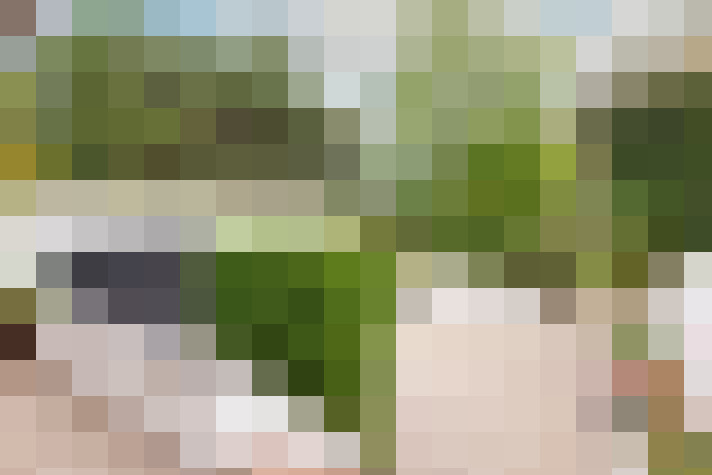 Image 29
