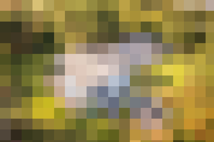 Image 24
