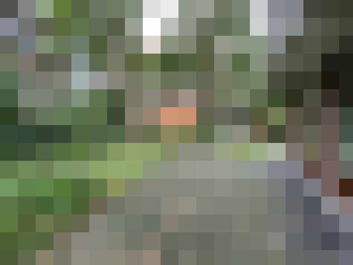 Image 15
