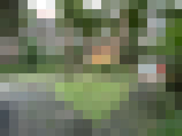 Image 17