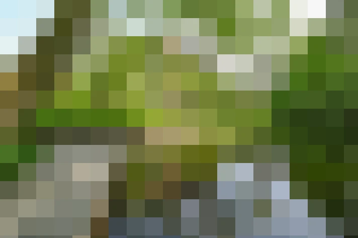 Image 23