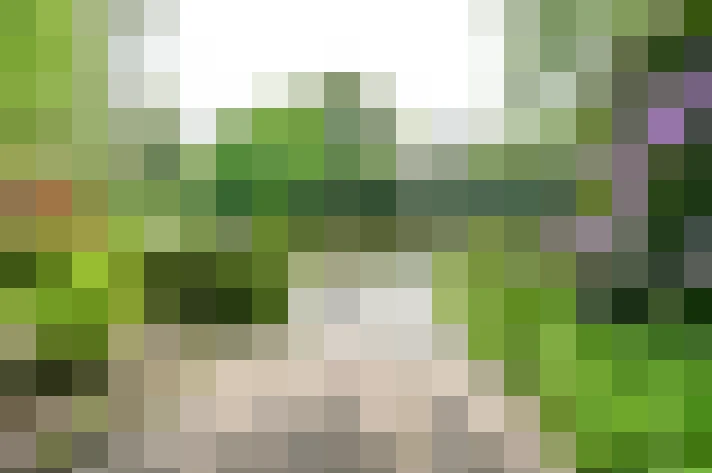 Image 25