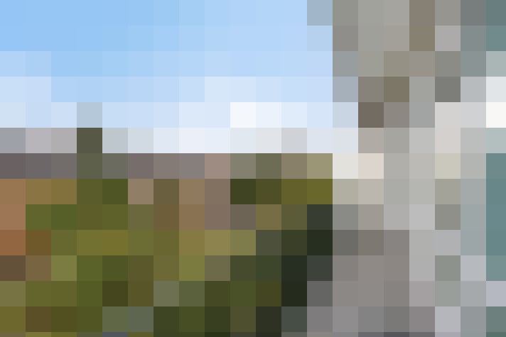 Image 22