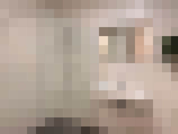Image 20