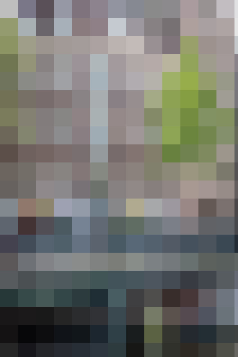 Image 39