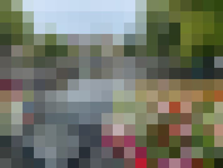 Image 33